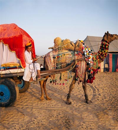 Pushkar Camel Safari