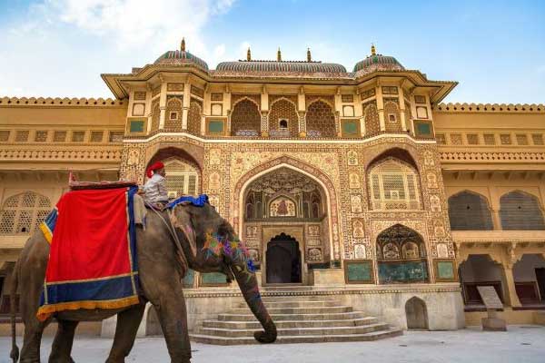 Elephant Ride in Jaipur