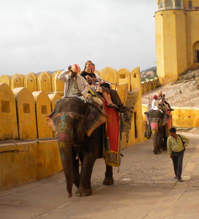 Elephant Safari Jaipur