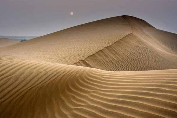 Sand Dunes in Rajsthan